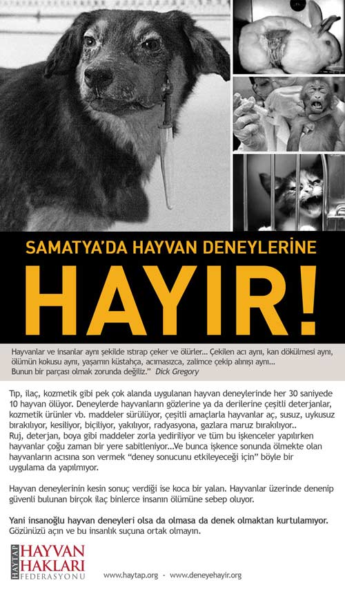 Deney Labaratuarına HAYIR!