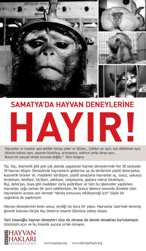 Deney Labaratuarına HAYIR!
