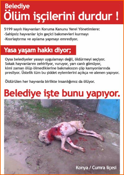 Konya