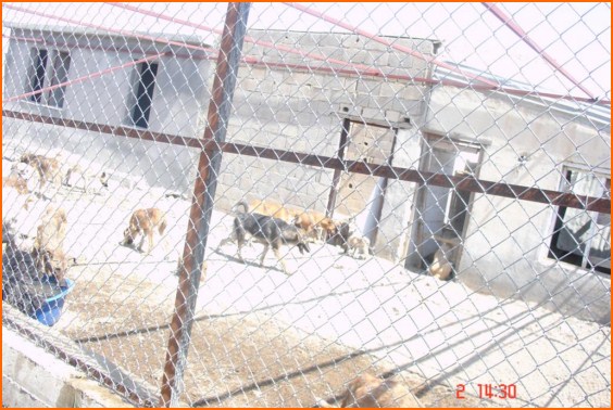 kilis