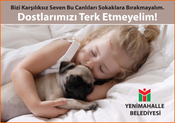YeniMahalle
