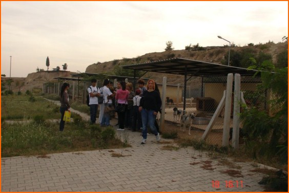 Dohayko Ziyaret