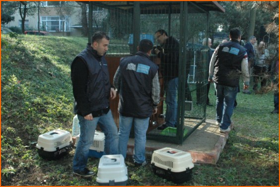 Besiktas Belediyesi