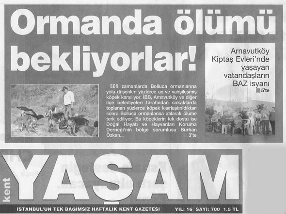 Kent yaşam