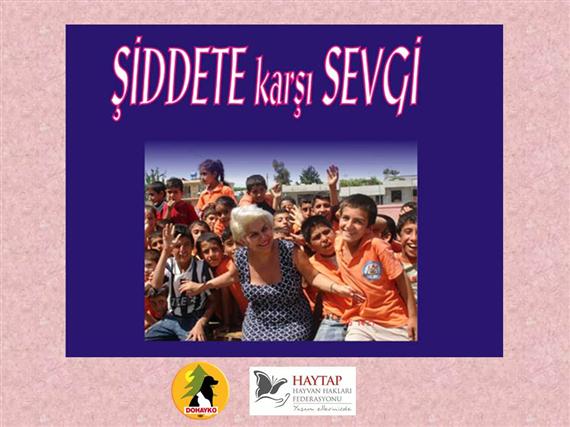 şiddete karşı sevgi