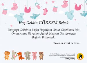 Hoşgeldin Bebek Kartı Örnekleri