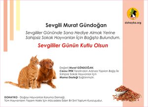 Sevgililer Günü Kartı Örnekleri