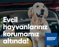 Anadolu Sigorta Evcil Hayvanlarınız Koruma Altında