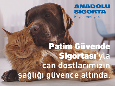 Patim Guvende Anadolu Sigorta